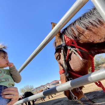 Superstitions OK Corral Stables - Ok Corral - Horseback Riding Near Me - Apache Junction, Arizona