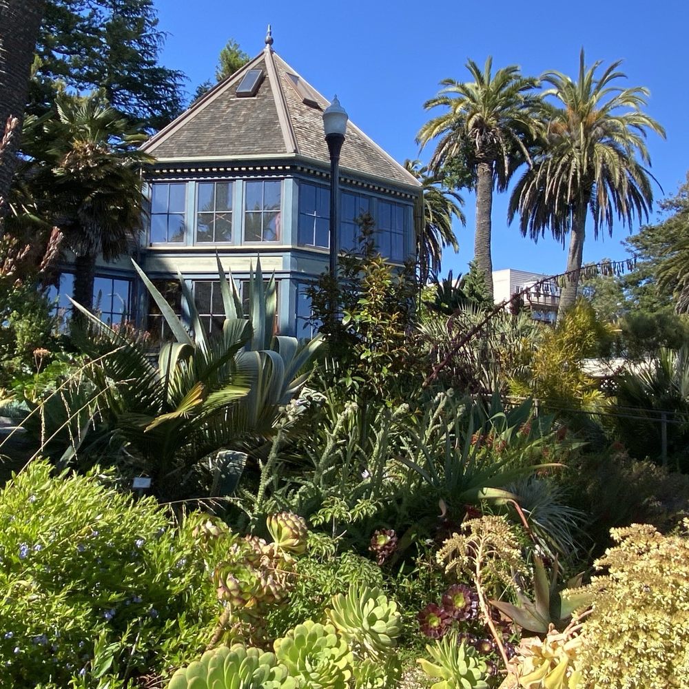 Sunnyside Conservatory - Parks Near Me - San Francisco, California