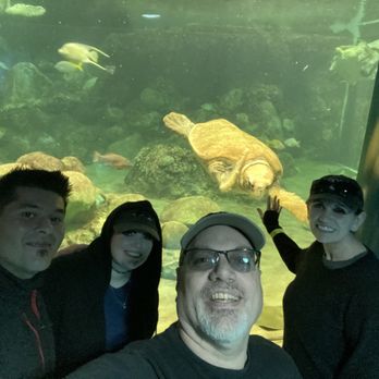 Turtle Reef at Sea World - He took a pic with us!!! Love it lol - Aquariums Near Me - San Diego, California Turtle Reef at Sea World - He took a pic with us!!! Love it lol - Aquariums Near Me - San Diego, California