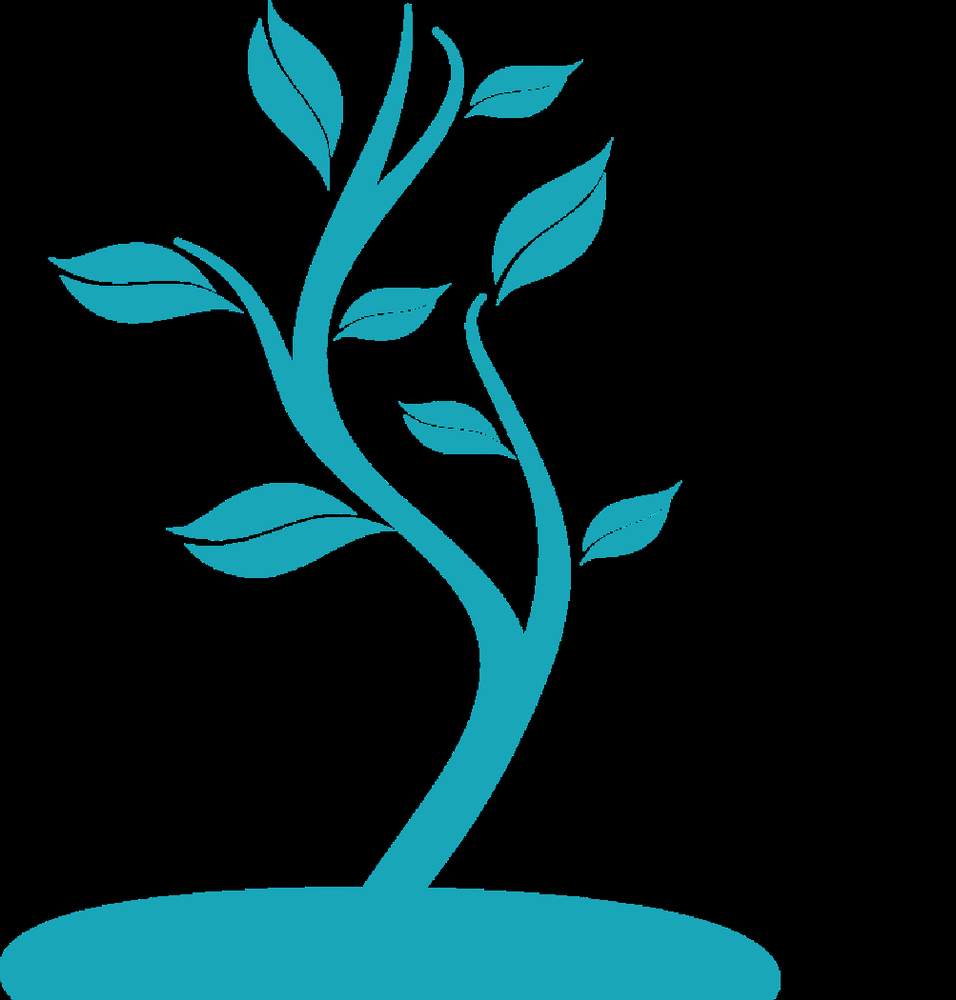 Novi Woods Montessori Center - childcare center in Novi, MI