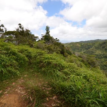 Aiea Loop Trail - Hiking Near Me - Aiea, Hawaii