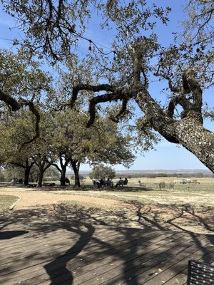 Pedernales Cellars by null