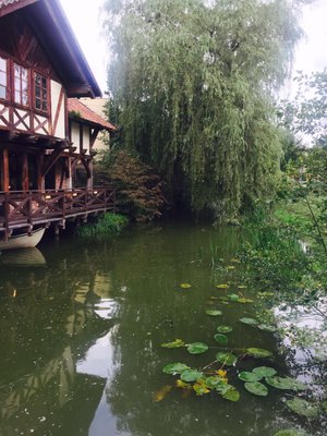 Tawerna by null