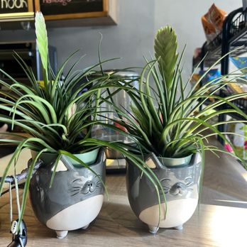 Neko Nook - Cafes Near Me - Gaithersburg, Maryland Neko Nook - Cafes Near Me - Gaithersburg, Maryland