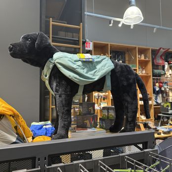 REI Columbia SC - Sports Wear Near Me - Columbia, South Carolina REI Columbia SC - Sports Wear Near Me - Columbia, South Carolina