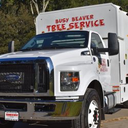 Busy Beaver Tree Service