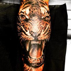 Evolution Ink Studio