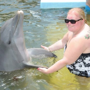Dolphin Research Center - Playing with the dolphins! Get the picture USB stick! Worth it! - Tours Near Me - Marathon, Florida Dolphin Research Center - Playing with the dolphins! Get the picture USB stick! Worth it! - Tours Near Me - Marathon, Florida