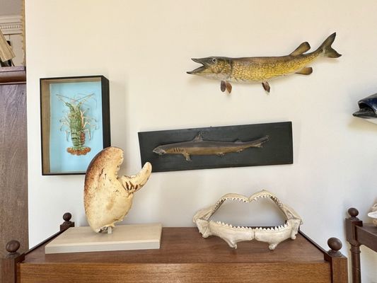 Connecticut's Old State House by null