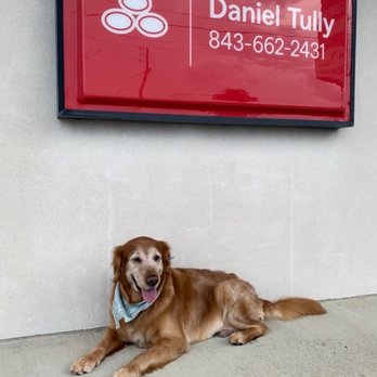 Daniel Tully - State Farm Insurance Agent - The newest addition to the office! - Home & Rental Insurance Near Me - Florence, South Carolina Daniel Tully - State Farm Insurance Agent - The newest addition to the office! - Home & Rental Insurance Near Me - Florence, South Carolina