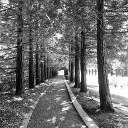 Mountain Cemetery