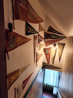 Dolly's House by null