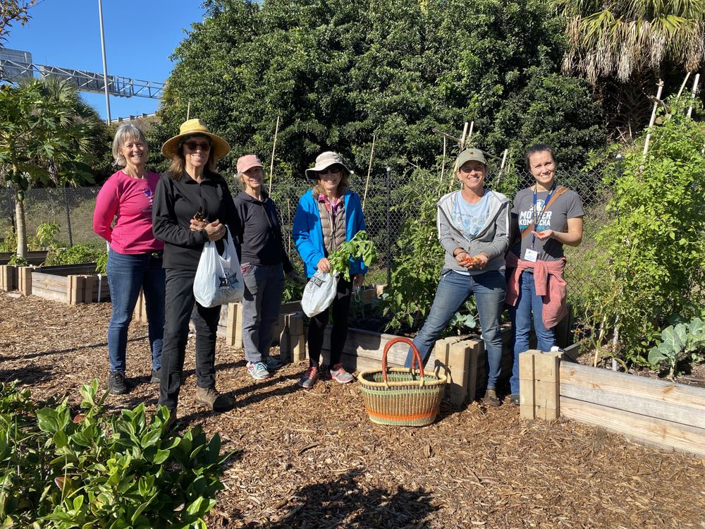 Daystar Life Center - social services organization in Saint Petersburg, FL