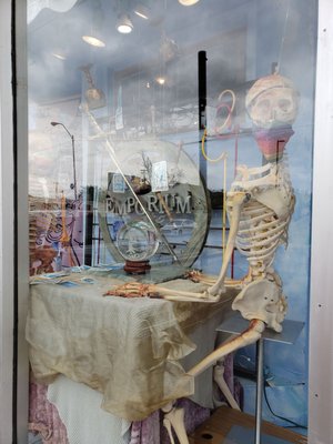 CRAIG’S CURIOUS EMPORIUM - 123 Photos & 66 Reviews - 1209 NW 23rd St