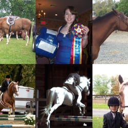 Fox Ridge Farm - Still on the fence - don't be, come join the fun!