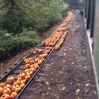Lake Whatcom Railway - Train Stations Near Me Lake Whatcom Railway - Train Stations Near Me