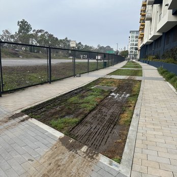 The Q Playa - Dog run - Apartments Near Me - Los Angeles, California The Q Playa - Dog run - Apartments Near Me - Los Angeles, California