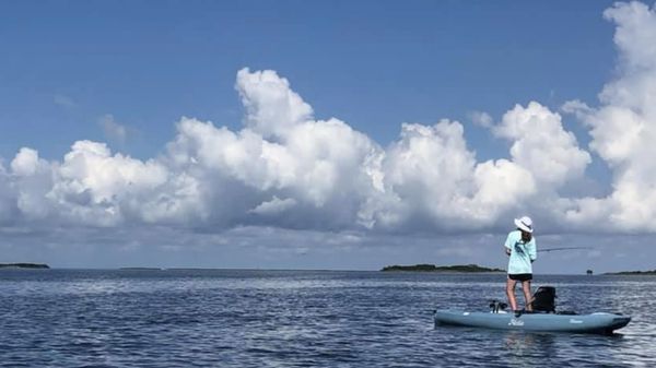 Kitty Hawk Kites by null