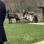 Photo of Wood Acres Farm - Horse Drawn Carriages & Unique Banquet Barn