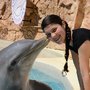 Photo of Dolphin Discovery Six Flags