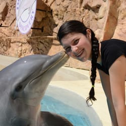 Dolphin Discovery Six Flags - Recibe un beso de nuestros amigos