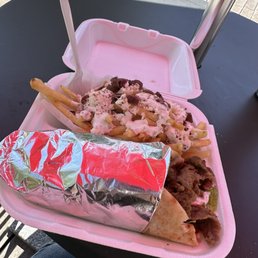 Lamb gyro and Greek fries