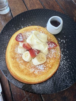 Vivo Palm Cove by null