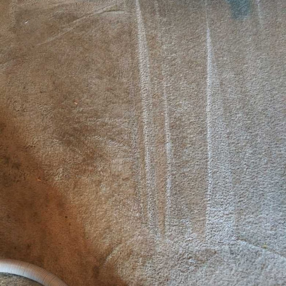 Doug Bracy Carpet & Tile Cleaning - Before and after - Carpet Cleaning Near Me
