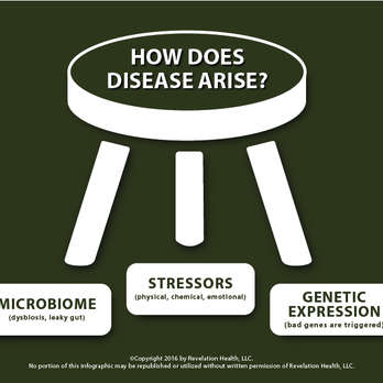 Wardy Wellness Chiropractic - Chiropractors Near Me - El Paso, Texas