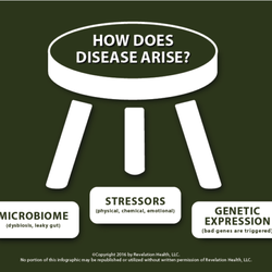 Wardy Wellness Chiropractic