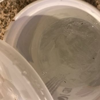 KFC - I think ants in my drink says it all. - Chicken Wings Near Me - Quincy, Massachusetts KFC - I think ants in my drink says it all. - Chicken Wings Near Me - Quincy, Massachusetts