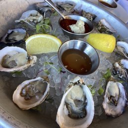 Oysters on half shell Oysters on half shell
