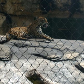 Cameron Park Zoo - Zoos Near Me - Waco, Texas