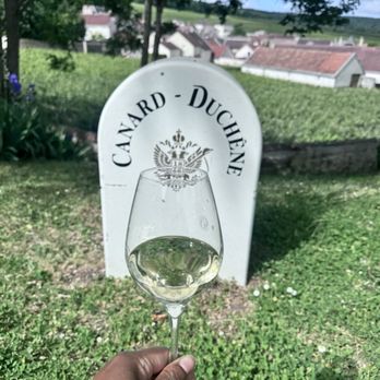Champagne Canard Duchêne - Wineries Near Me - Ludes, 51 Champagne Canard Duchêne - Wineries Near Me - Ludes, 51