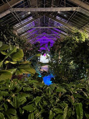 Matthaei Botanical Gardens by null