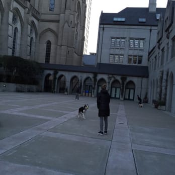 Grace Cathedral - The courtyard is fun for watching dogs & their owners train - Churches Near Me - San Francisco, California