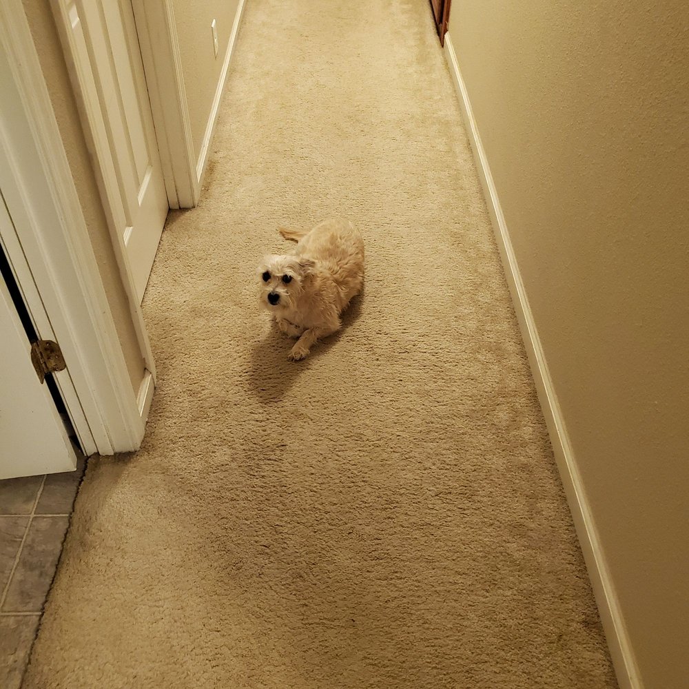 ERICKSON VETERINARY HOSPITAL Updated September 2024 29 Photos & 59