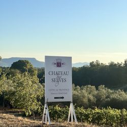 Chateau des Selves - Welcome
