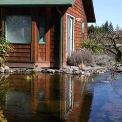 Goller Grade & Gravel - Large infinity pond