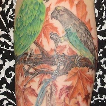 Soul Imagez Tattoo - A tribute to my birds - inked by Dave. - Tattoo Near Me - Dublin, California Soul Imagez Tattoo - A tribute to my birds - inked by Dave. - Tattoo Near Me - Dublin, California