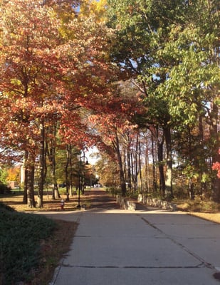 Hampshire College by null