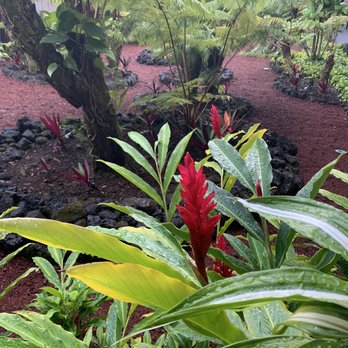 SCP Hilo Hotel - Hotels Near Me - Hilo, Hawaii SCP Hilo Hotel - Hotels Near Me - Hilo, Hawaii