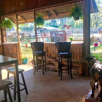 Three Chicks Feed, Seed & Cafe - Outdoor PET FRIENDLY seating area! Beautiful peach tree with peaches!! - Cafes Near Me - Texarkana, Arkansas Three Chicks Feed, Seed & Cafe - Outdoor PET FRIENDLY seating area! Beautiful peach tree with peaches!! - Cafes Near Me - Texarkana, Arkansas