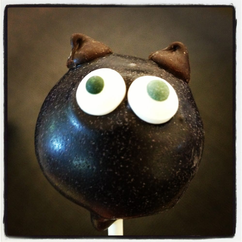 SAN MATEO COUNTY CORONER’S OFFICE Updated September 2024 50 Tower