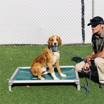 Performance K9 Training - Pet Training Near Me - Bonsall, California Performance K9 Training - Pet Training Near Me - Bonsall, California