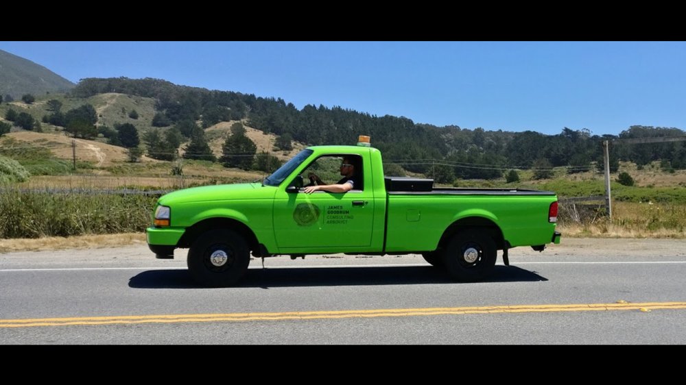 James Goodrum Consulting Arborist - tree service in New York, NY