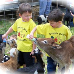 Barnyard Petting Zoo
