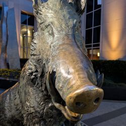 Porcellino - Il Porcellino, Greenville