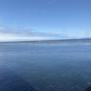The Fish Hopper - View from our table! - Seafood Near Me - Monterey, California