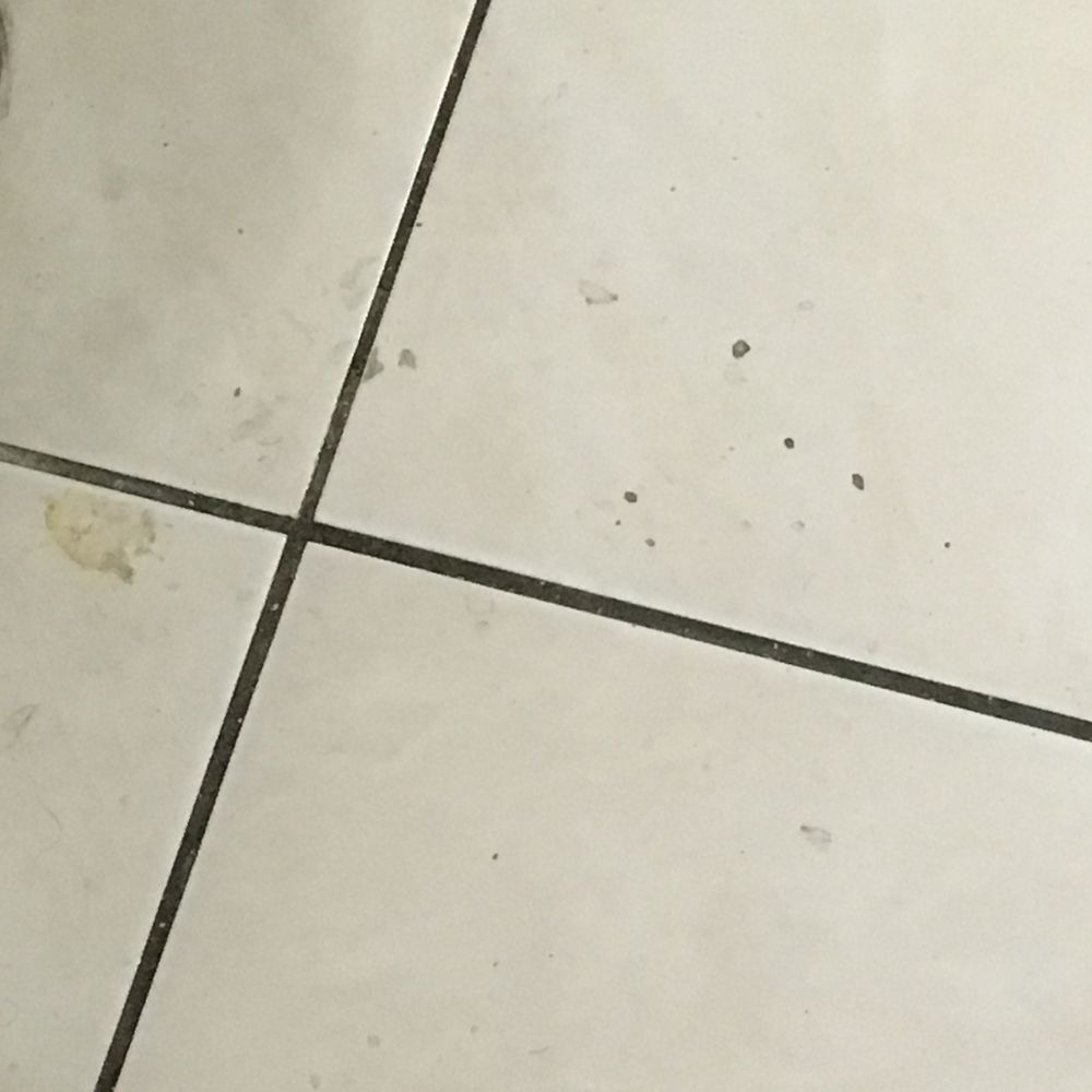 Stellar Management Company - How I found the bathroom floor. Stains, Stains, and Stains. - Property Management Near Me - New York, New York Stellar Management Company - How I found the bathroom floor. Stains, Stains, and Stains. - Property Management Near Me - New York, New York